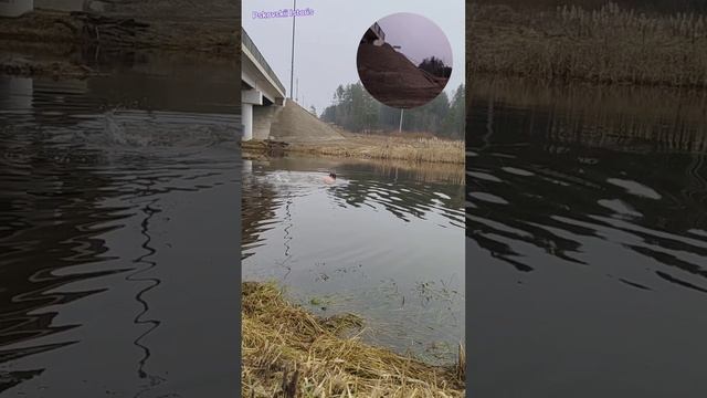 Утреннее умывание по взрослому это совершенно естественные восприятие человечной природы жизни