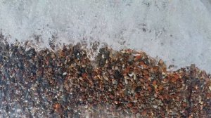 Выходной на море| Балтийское море, Донское