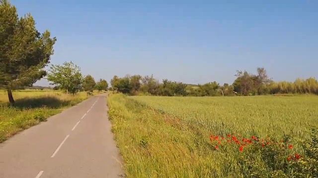 Мой МАРАФОН ПОХУДЕНИЯ. День Первый. Меню и РАСПОРЯДОК ДНЯ смотреть онлайн