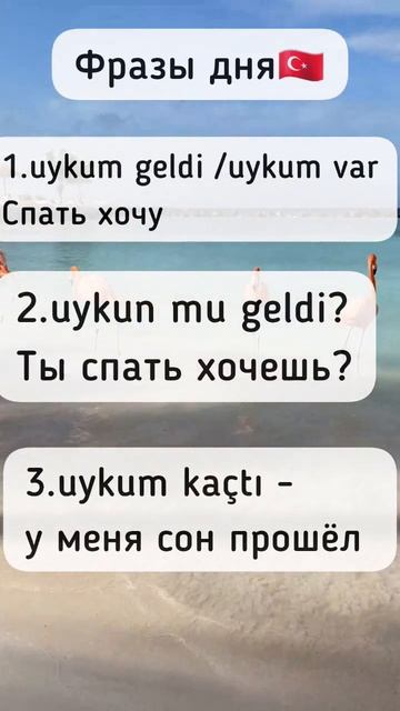 учи новые фразы каждый день в моем инст : turkish_po_kaifu #турецкийязык #турция #турецкий