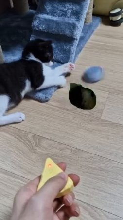 Игрушки для кошек