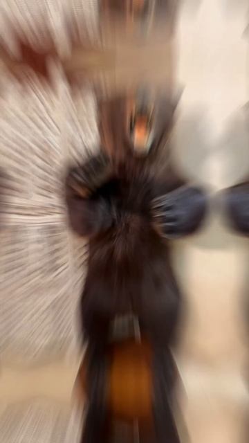 Борода Folk на национальном мероприятии смотреть онлайн