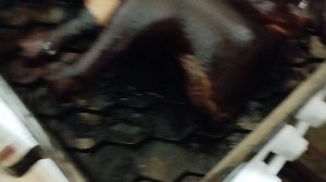 копчение курицы .часть4