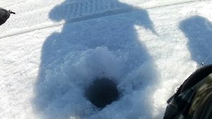 Десять  километров пешком по озеру Отрадное в поисках рыбы