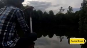 Мужчина спас Крокодилу жизнь, а через несколько лет произошло что-то шокирующее!