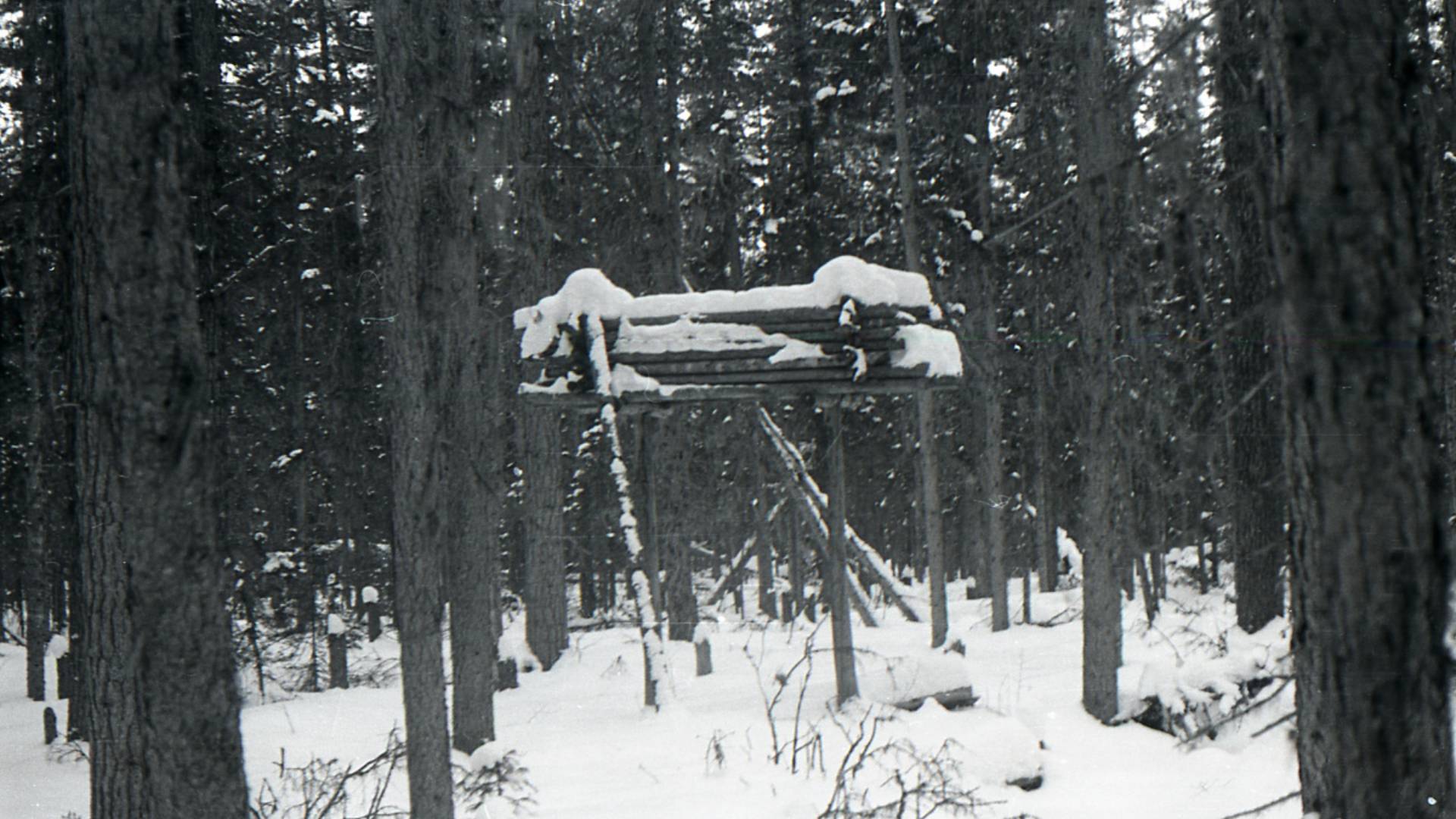 Группа Дятлова. Виноваты ли Манси смотреть онлайн