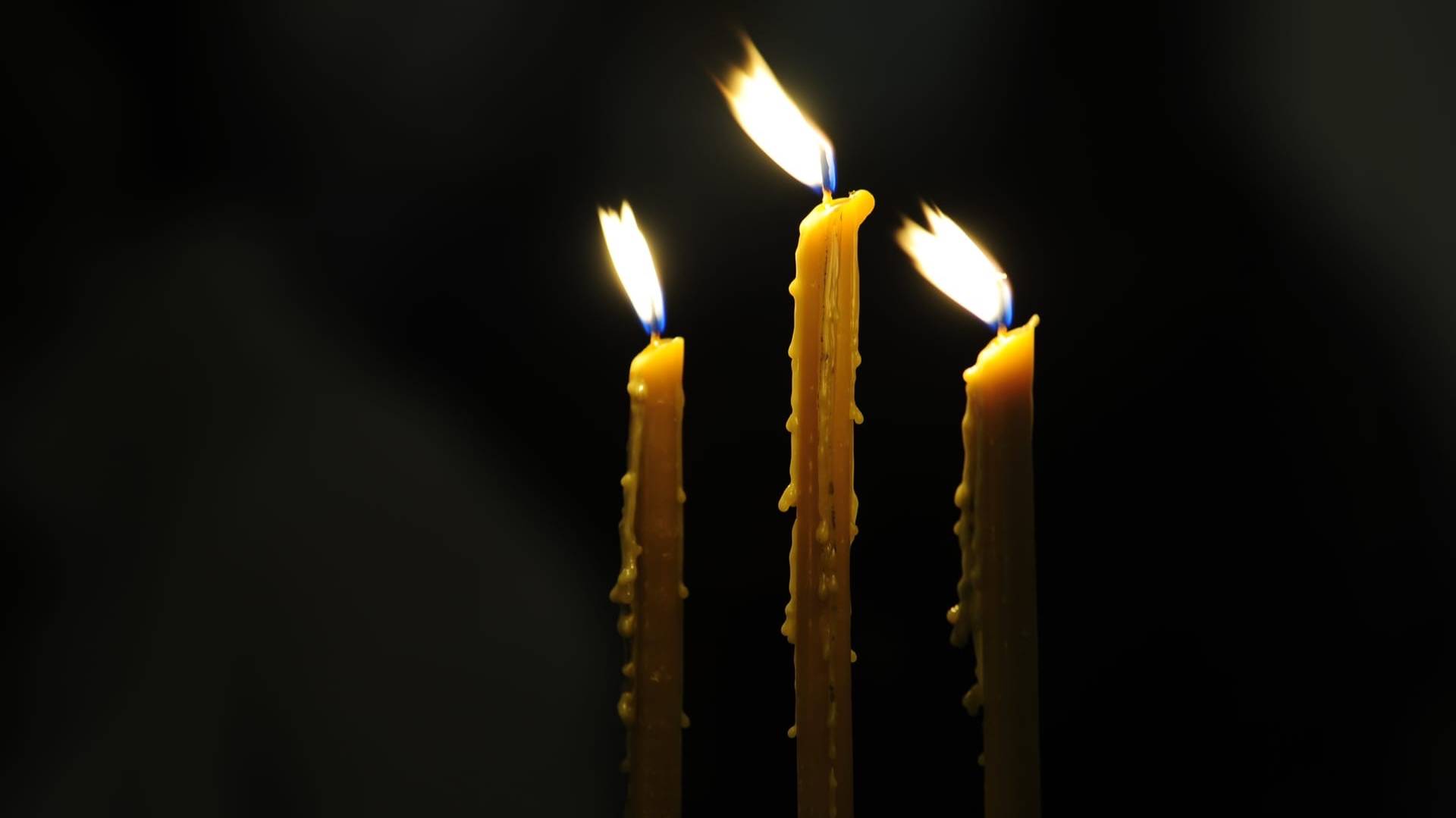 Литургия свт. Иоанна Златоуста в субботу 4-й седмицы Великого Поста. Панихида. смотреть онлайн