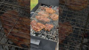 Ты только послушай это. Grill amsr. Мангал амср.