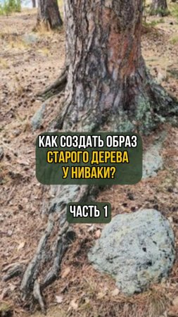 Как создать образ старого дерева у ниваки? Часть 1