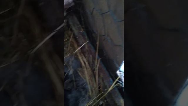 Мои кролики куры