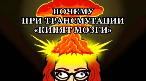ПОЧЕМУ ПРИ ТРАНСМУТАЦИИ «КИПЯТ МОЗГИ»? ЧЕМ ЖЕ СЕБЕ ПОМОЧЬ И КАК ПЕРЕЖИТЬ ТЯЖЕЛЫЕ ДНИ ТРАНСФОРМАЦИИ?