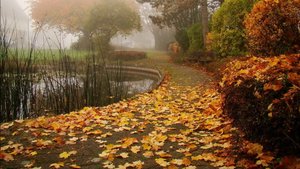 Песня "Весь путь проделать без тебя"