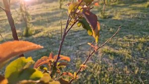 #открытие #путешествия #природа #новыеприключения