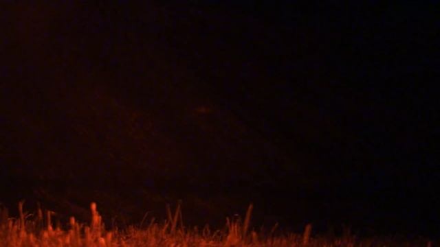 Big PA Coyote смотреть онлайн