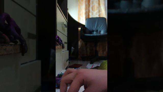 1000007405.mp4стингир флин