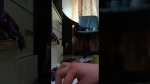 1000007405.mp4стингир флин