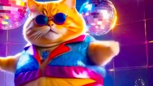 Смешные Танцующие Коты / Забавные котики приколы смотреть веселые видео онлайн про котов / приколы