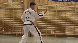 Чон Джи, Бело-желтый пояс, 9 гып тхэквондо taekwondo