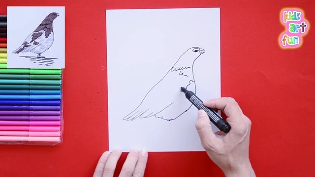 How to draw Willow Ptarmigan - State Bird of Alaska смотреть онлайн