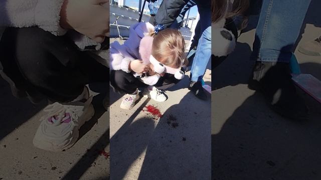 СТП самокатно трековое происшествие. смотреть онлайн