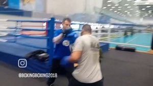 Бокс лапы работа