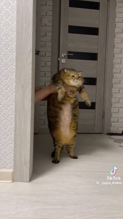 1000005815.mp4