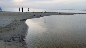 Анапа сегодня центральный пляж мазута на берегу нет