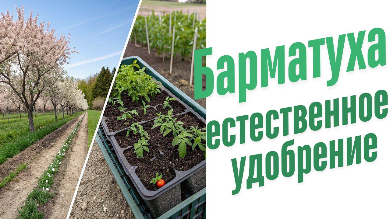 Естественные удобрения.