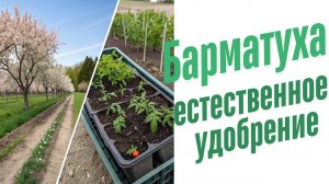 Естественные удобрения.