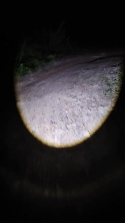 20250101_205037