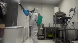 Дезинсекция общепита, кафе, ресторана, столовой