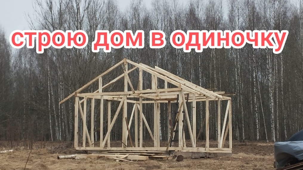 КАРКАС ГОТОВ ! ! ! СТРОЮ БЮДЖЕТНЫЙ КАРКАСНЫЙ ДОМ.