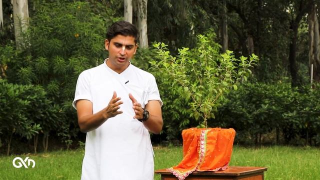15 FAQ's about Tulsi Maharani | Govind Krsna Das | GKD смотреть онлайн