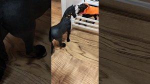 приключения лошадей шляйх