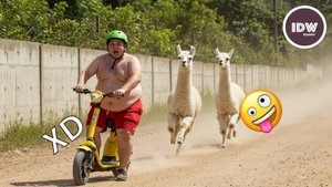 ЕСЛИ ТЫ СМЕЕШЬСЯ, ТЫ ТЕРЯЕШЬ УРОВЕНЬ  🤣 СМЕЮЩИЕСЯ ВИДЕО 😂 ЧАС МОМЕНТОВ😆