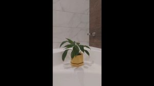 Физика и приметы