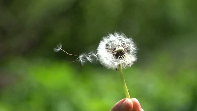 Когда ты уходил . (стих в прозе).