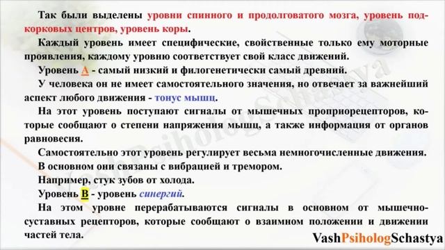 ⚡ 5.4. Физиология движений и физиология активности