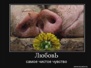 + Без тебя.