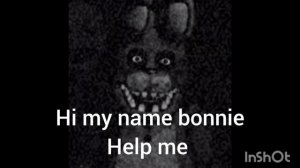 fnaf VHS 2 what have you done?