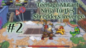 Teenage Mutant Ninja Turtles Shredders Revenge #2 🐢