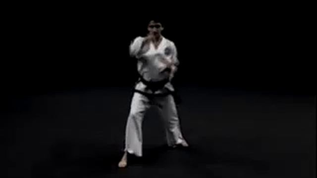 1 дан, Гэ Бэк, черный пояс, Ge Beak вид сзади тхэквондо taekwondo таэквондо смотреть онлайн