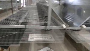 Клетка для кроликов Лидан 12М