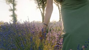 5126545-uhd_4096_2160_24fps