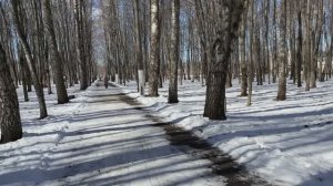 Прогулка по парку. Подготовка к дачному сезону 2025.
