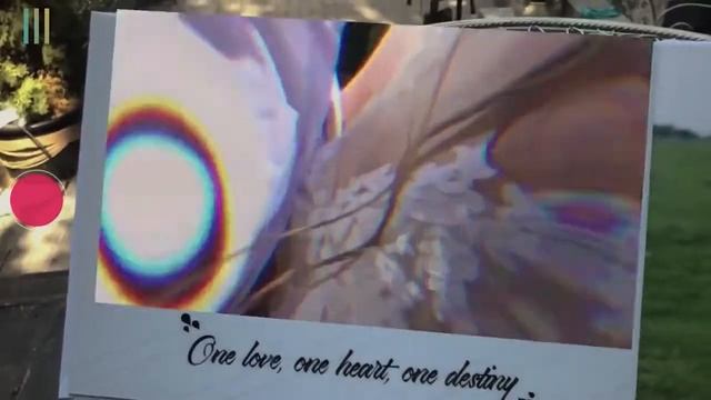 "Живые" фото для свадебных фотоальбомов смотреть онлайн