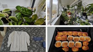 29.03.2025 г Готовлю кексы/ Комнатные растения/ Моё вязание