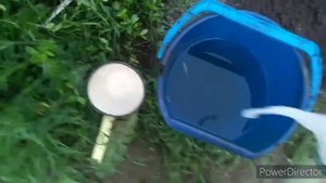 Подкормка для огурцов. Дрожжи