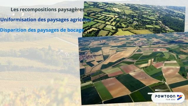 PREMIERE Les espaces ruraux : multifonctionnalité ou fragmentation ? смотреть онлайн