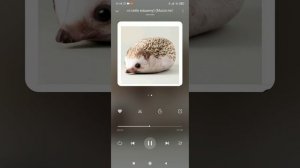 хренобус - я купил себе машину